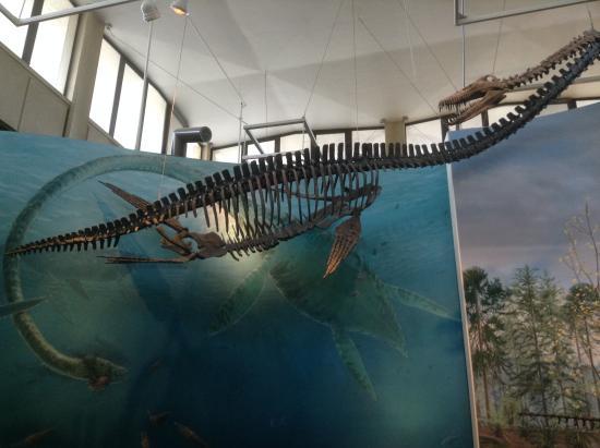 Museu de História Natural e Cultura de Burke